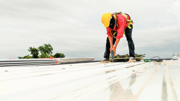 Best Roof Moss and Algae Removal  in Brookland, AR